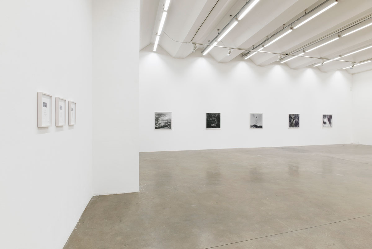 The Recurring Frequency of a Fading Moment, Exhibition View, Ornella Fieres, Sexauer Gallery