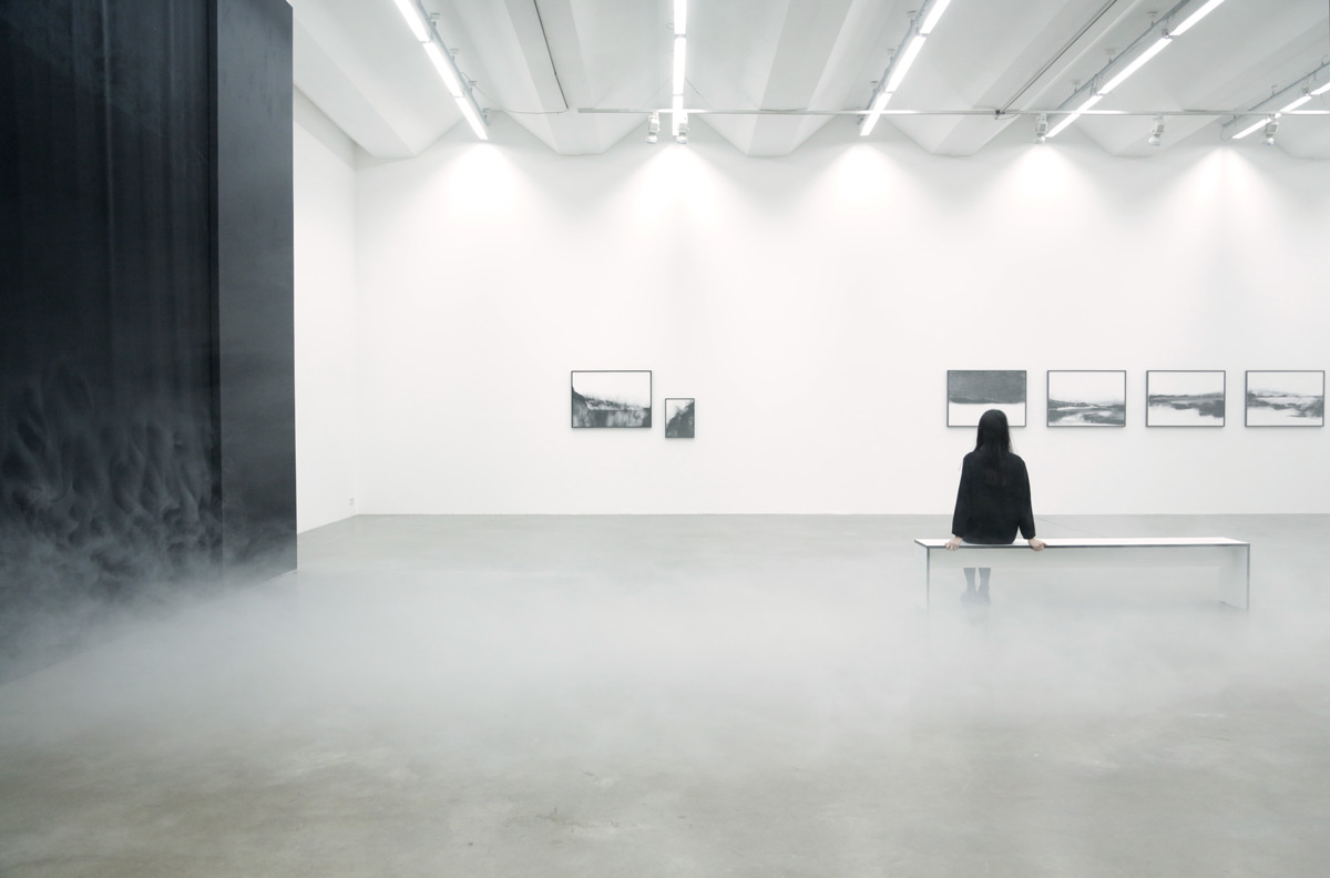 Carla Chan, Exhibition view, When the world is left only black and grey, Sexauer Gallery