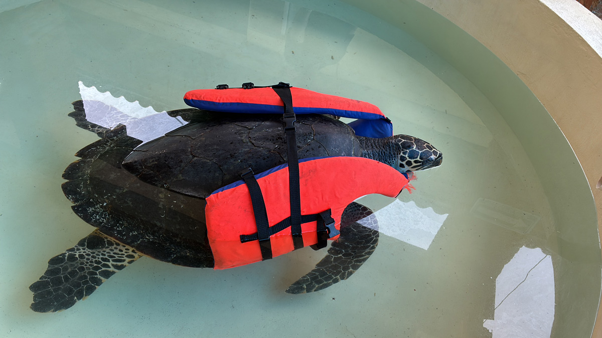 Alexander_Iskin_Sexauer_Gallery_2025