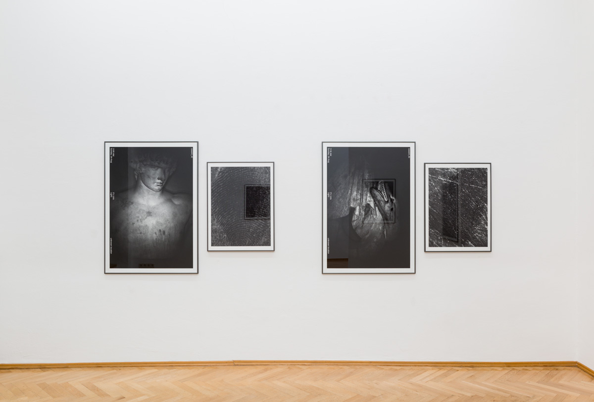 David_Roth_Sexauer_Gallery_Showroom