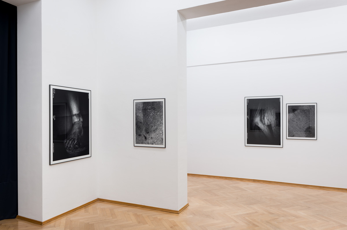 David_Roth_Sexauer_Gallery_Showroom