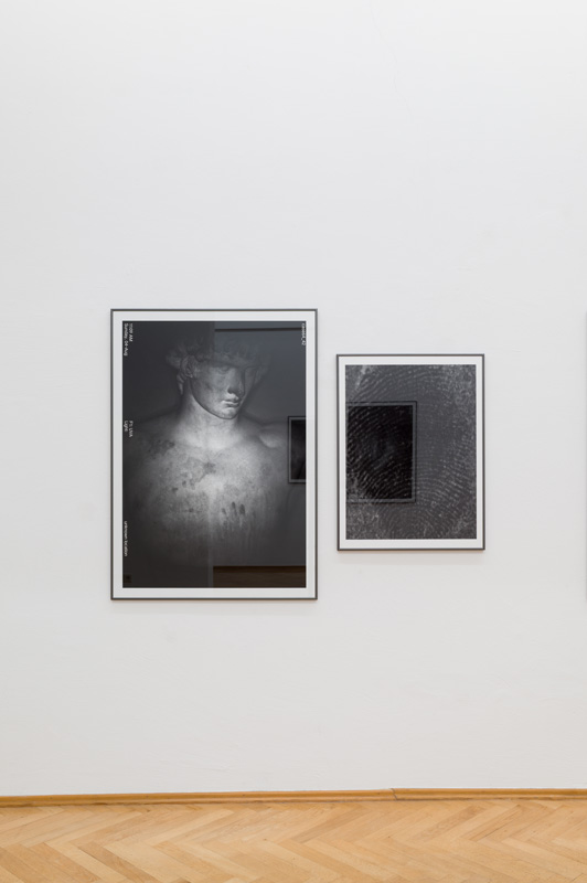 David_Roth_Sexauer_Gallery_Showroom