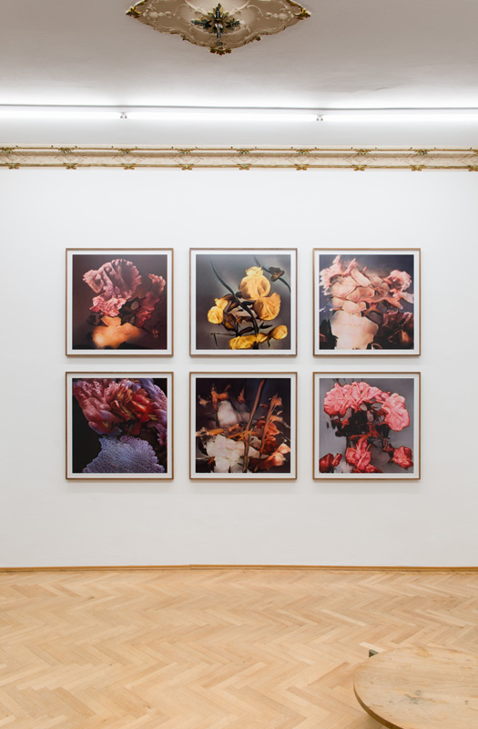 Ornella_Fieres_Sexauer_Gallery_Showroom