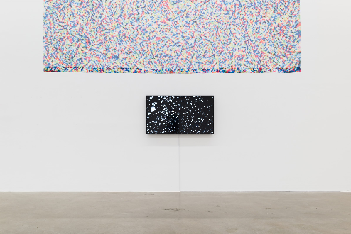 Ornella_Fieres_2025_Sexauer_Gallery