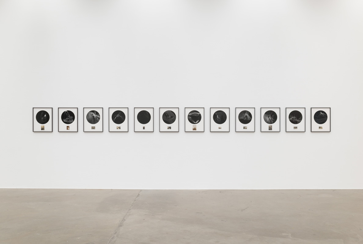 Ornella_Fieres_2025_Sexauer_Gallery