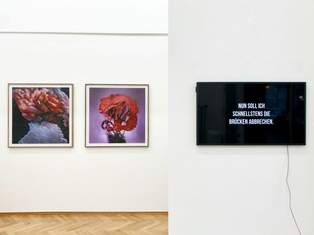 Interactions-3-Ornella_Fieres_Jeewi_Lee_Showroom_Sexauer_Gallery_Berlin_web