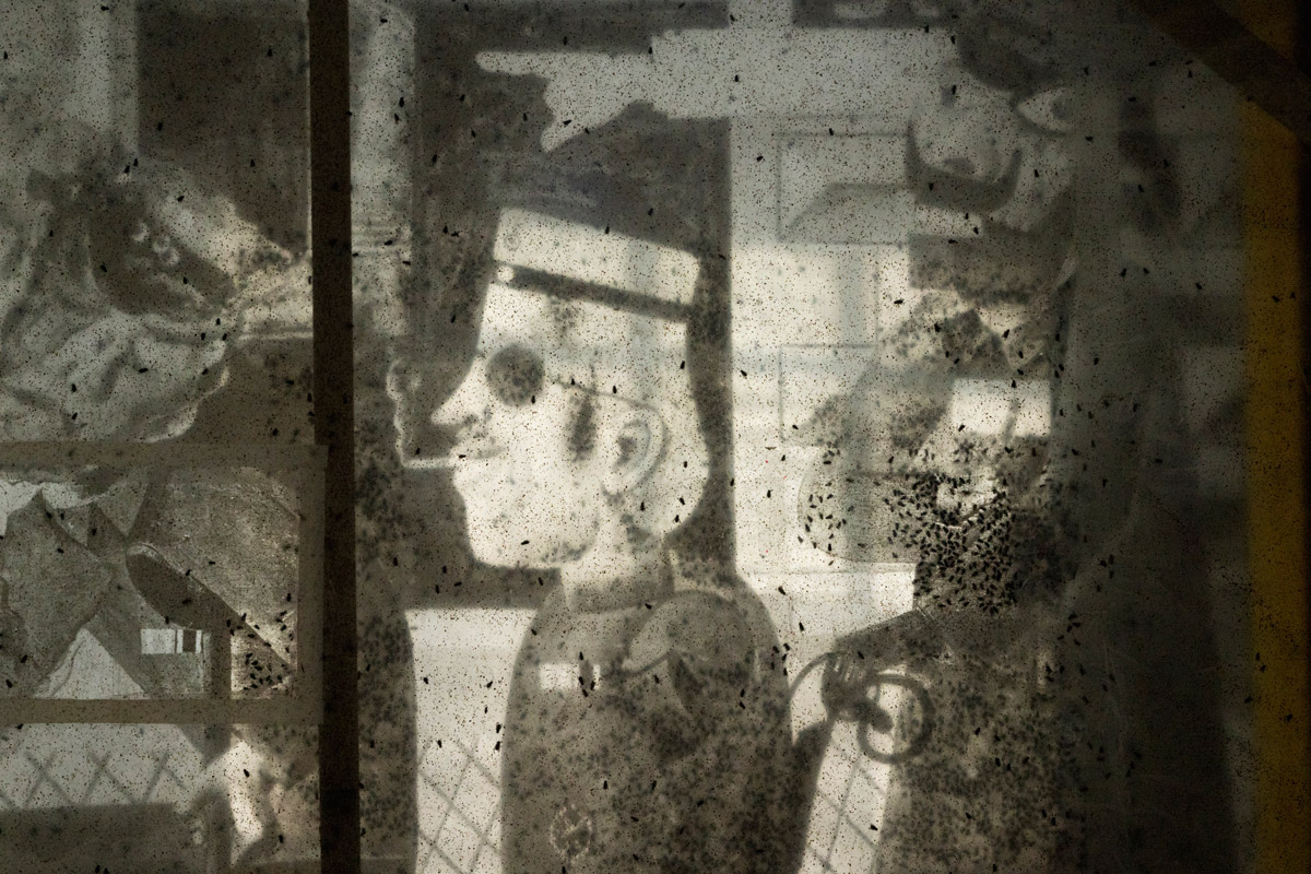 Maximilian_Prüfer_Sexauer_Gallery