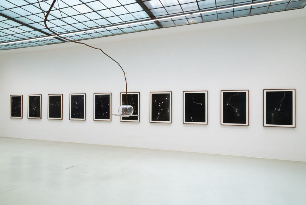 Maximilian_Prüfer_Sexauer_Gallery